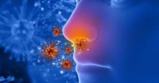 صورة توضيحية للإنفلونزا